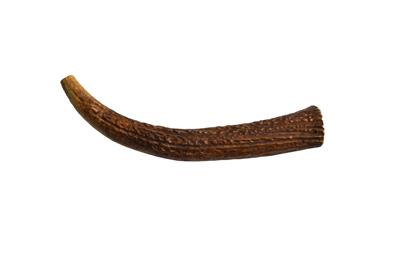 Elk Antler (Large) - Whole & Split - Grade A - Cases Wholesale
