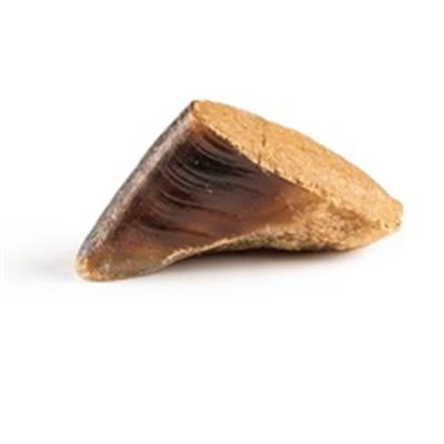 Cow Hoof Bacon & Cheese Filled Dog Chew - Long Lasting Treat