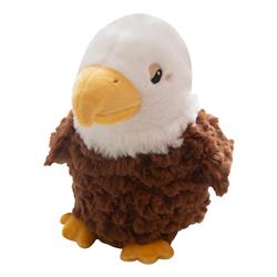 Evan the Eagle