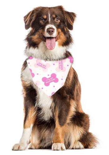 Barkday Bandana | Birthday Boy, Dog Birthday |  Happy Birthday | Birthday Girl | Party Bandana