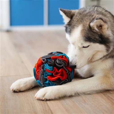 Messy Mutts Dog Forage Ball Large