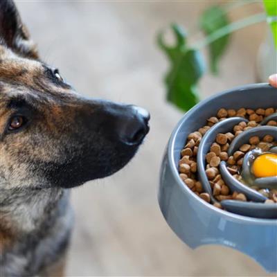 Messy Mutts Dog Slow Feeder Speckled Grey 3 Cup