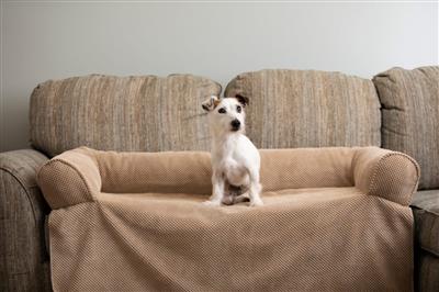 Couch Companion Bolstered Dog Sofa Throw