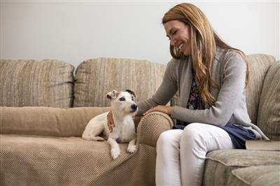 Couch Companion Bolstered Dog Sofa Throw
