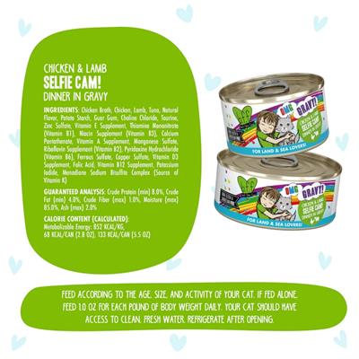BFF Cat Omg Gravy Selfie Cam Chicken & Lamb 5.5oz. - (Case of 8)