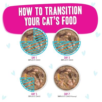 BFF Cat Omg Gravy Lots Luck Duck & Tuna 2.8oz. - (Case of 12)