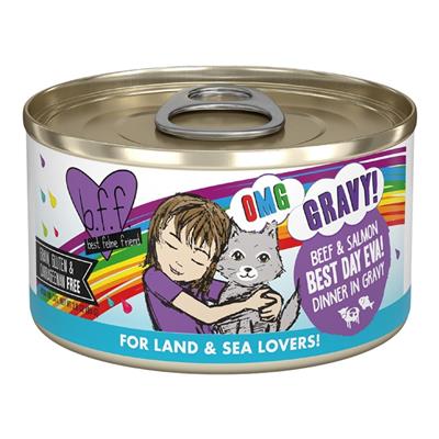 BFF Cat Omg Gravy Best Day Eva Beef & Salmon 2.8oz. - (Case of 12)