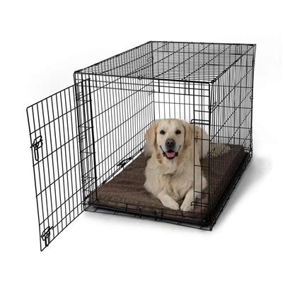 Forgiveness™ Fully Washable Crate Pad - Show Dog Collection
