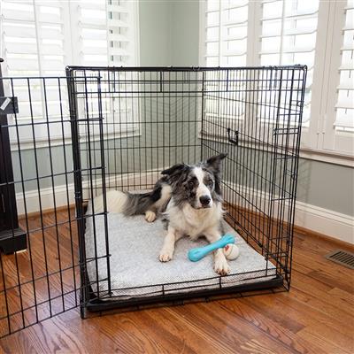 Forgiveness™ Fully Washable Crate Pad - Show Dog Collection