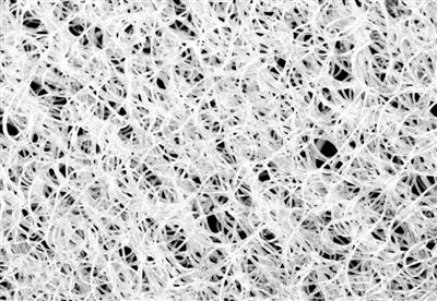 Forgiveness™ Fully Washable Dog Sofa