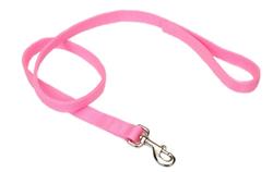 Coastal DoublePly Nylon Dog Leash Pink Bright, 1ea/1 In X 4 ft