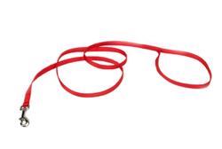 Coastal SinglePly Nylon Dog Leash Red, 1ea/3/8 In X 4 ft