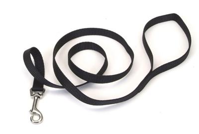 Coastal SinglePly Nylon Dog Leash Black, 1ea/5/8 In X 4 ft