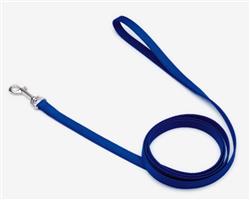 Coastal SinglePly Nylon Dog Leash Blue, 1ea/5/8 In X 4 ft