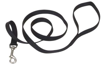 Coastal SinglePly Nylon Dog Leash Black, 1ea/5/8 In X 6 ft