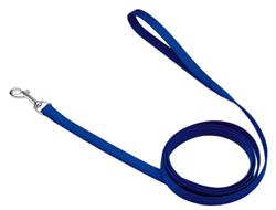 Coastal SinglePly Nylon Dog Leash Blue, 1ea/5/8 In X 6 ft