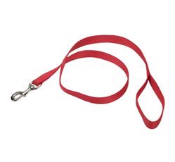 Coastal SinglePly Nylon Dog Leash Red, 1ea/3/4 In X 4 ft