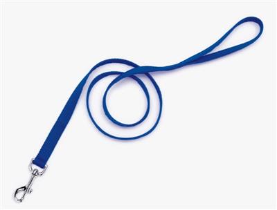 Coastal SinglePly Nylon Dog Leash Blue, 1ea/3/4 In X 4 ft
