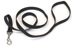 Coastal SinglePly Nylon Dog Leash Black, 1ea/3/4 In X 6 ft