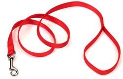 Coastal SinglePly Nylon Dog Leash Red, 1ea/3/4 In X 6 ft