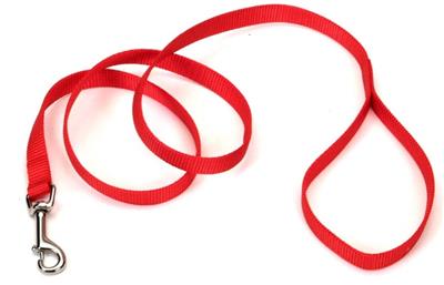 Coastal SinglePly Nylon Dog Leash Red, 1ea/3/4 In X 6 ft