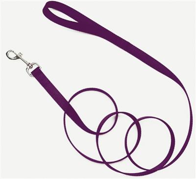 Coastal SinglePly Nylon Dog Leash Purple, 1ea/3/4 In X 6 ft