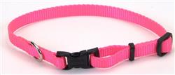 Coastal Adjustable Nylon Dog Collar with Plastic Buckle Neon Pink, 1ea/3/8 In X 812 in