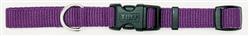Coastal Adjustable Nylon Dog Collar with Plastic Buckle Purple, 1ea/3/8 In X 812 in