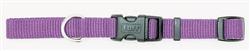 Coastal Adjustable Nylon Dog Collar with Plastic Buckle Purple, 1ea/3/4 In X 1420 in