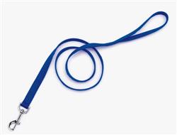 Coastal SinglePly Nylon Dog Leash Blue, 1ea/1 In X 4 ft