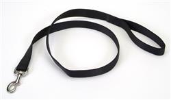 Coastal SinglePly Nylon Dog Leash Black, 1ea/1 In X 6 ft
