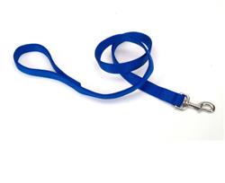 Coastal DoublePly Nylon Dog Leash Blue, 1ea/1 In X 4 ft