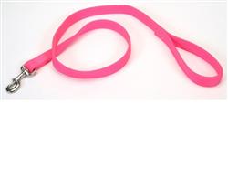 Coastal DoublePly Nylon Dog Leash Neon Pink, 1ea/1 In X 4 ft