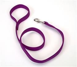 Coastal DoublePly Nylon Dog Leash Purple, 1ea/1 In X 4 ft