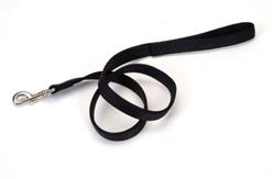 Coastal DoublePly Nylon Dog Leash Black, 1ea/1 In X 6 ft