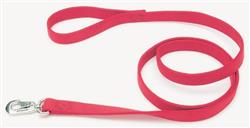 Coastal DoublePly Nylon Dog Leash Red, 1ea/1 In X 6 ft