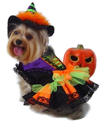 Halloween Witch Costume