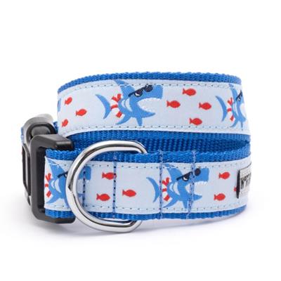 Sharkuterie Dog Collar & Lead