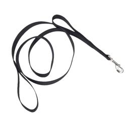 Loops 2 Double Handle Nylon Dog Leash Black, 1ea/1 In X 6 ft