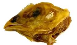 Dehydrated Chicken Heads