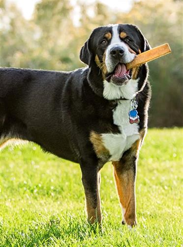 Himalayan Yak Chews -2X-Large Sized - 5lbs. Bulk