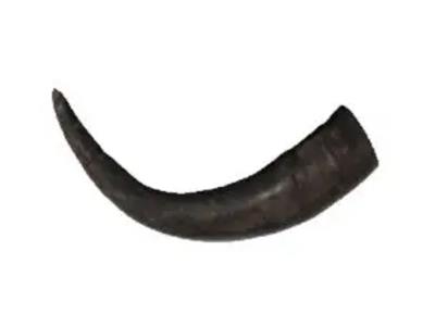 Premium Water Buffalo Horns