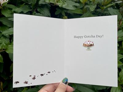 Hand-Painted "Gotcha Day" & Dog Birthday Greeting Card - Multi-Breed Watercolor Illustration