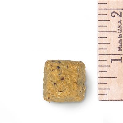 Snickerdoodle Oat Bites - 10lb Crunchy Bulk