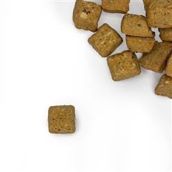 Cheddar Than Ever Oat Bites - 10lb Crunchy Bulk