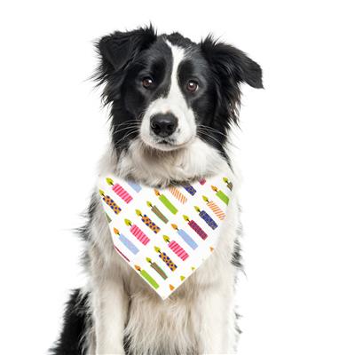 Birthday Bandana | Dog, Pet, Party, Happy Birthday | Candles