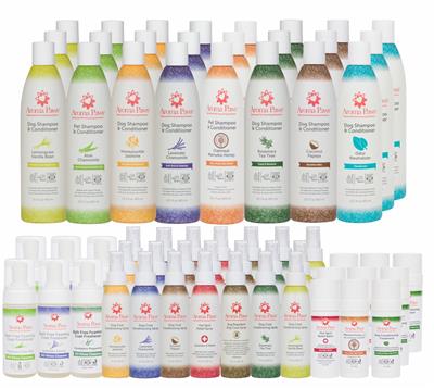 2026 Starter Kit ~ Top Sellers