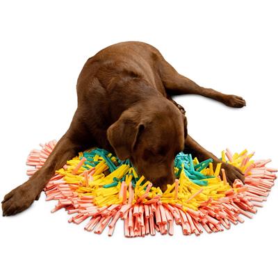 PAW5 Rainbow Snuffle Dog Feeding Mat