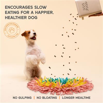PAW5 Rainbow Snuffle Dog Feeding Mat