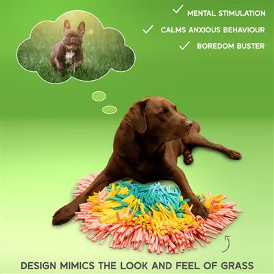 PAW5 Rainbow Snuffle Dog Feeding Mat